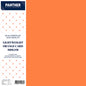 Panther A4 Lightweight Coloured Card 150gsm - Pack