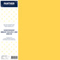 Panther A4 Lightweight Coloured Card 150gsm - Pack