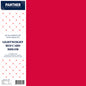 Panther A4 Lightweight Coloured Card 150gsm - Pack