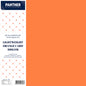 Panther A4 Lightweight Coloured Card 150gsm - Pack