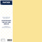 Panther A4 Lightweight Coloured Card 150gsm - Pack
